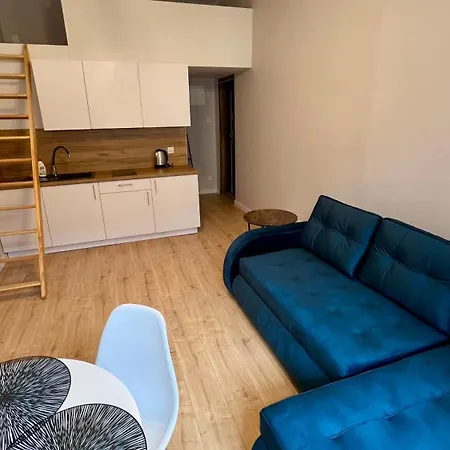 Lokietkowo Centrum Apartment